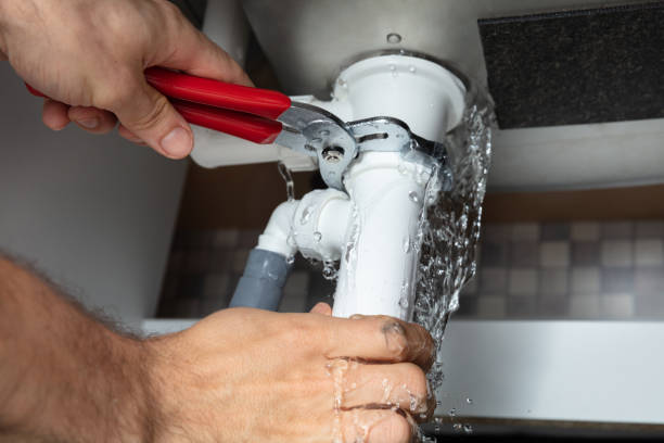 Best Mold removal after water damage  in Elida, OH