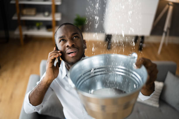  Elida, OH Water damage restoration Pros