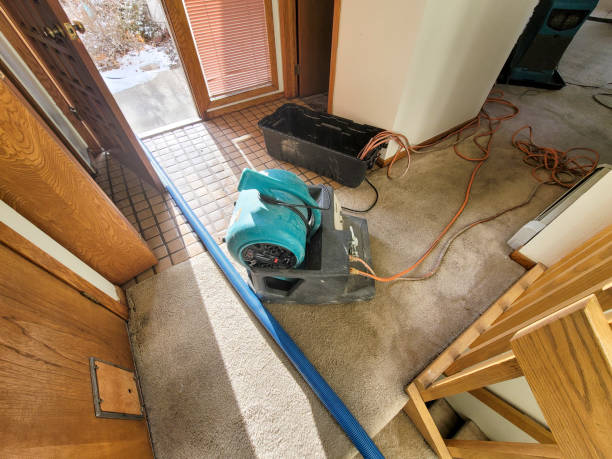 Best Flood restoration services  in Elida, OH