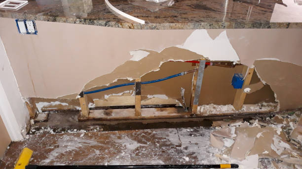 Best Professional water damage repair  in Elida, OH