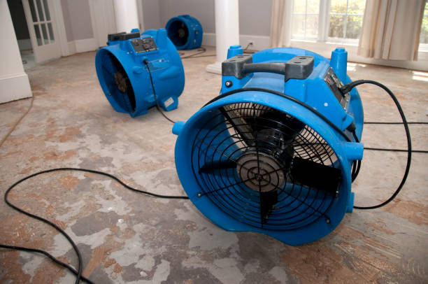 Best 24-hour water damage restoration  in Elida, OH