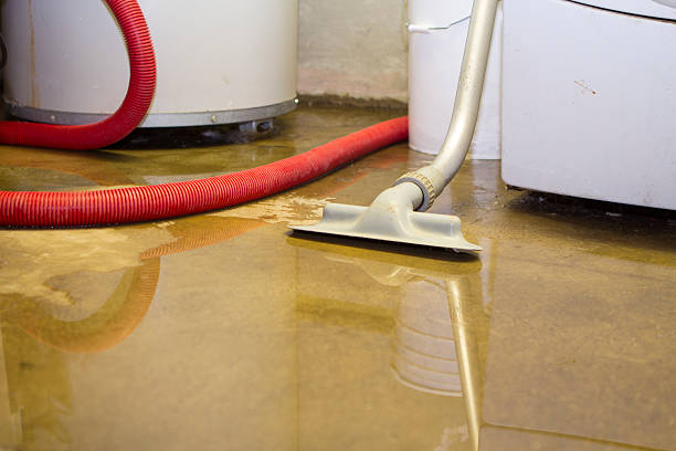 Best Water damage cleanup near me  in Elida, OH