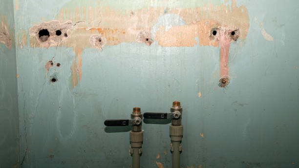 Trusted Elida, OH Water damage restoration Experts