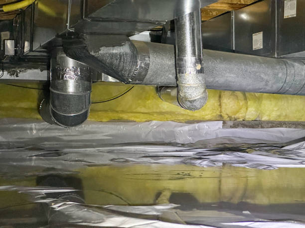 Best Water damage restoration near me  in Elida, OH