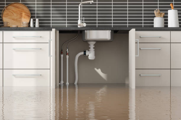 Best Professional water damage repair  in Elida, OH