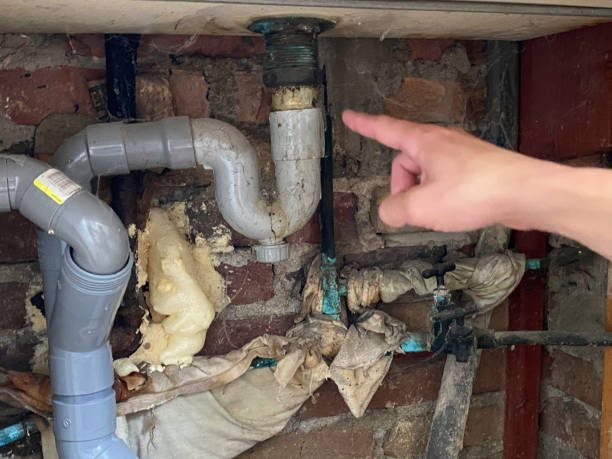 Best Water damage restoration experts  in Elida, OH