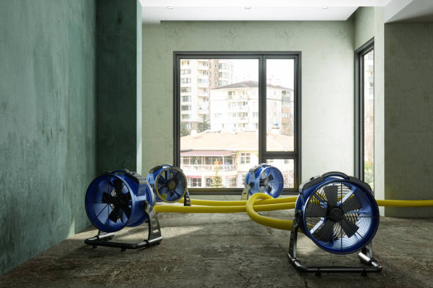 Sewage cleanup and water damage restoration in Elida, OH