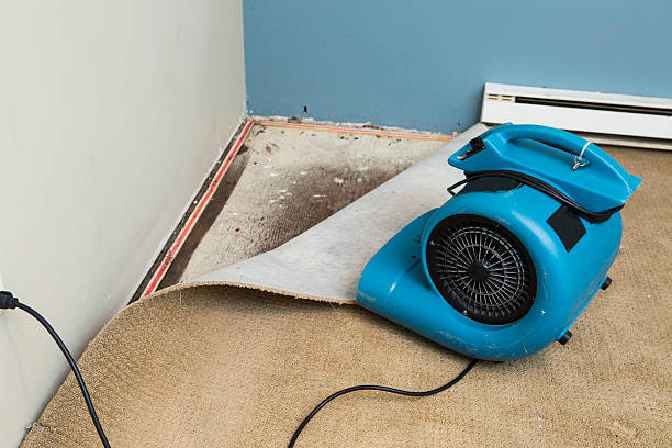 Water damage restoration process in Elida, OH