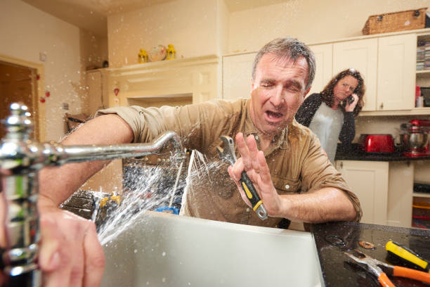 Best Carpet water damage restoration  in Elida, OH